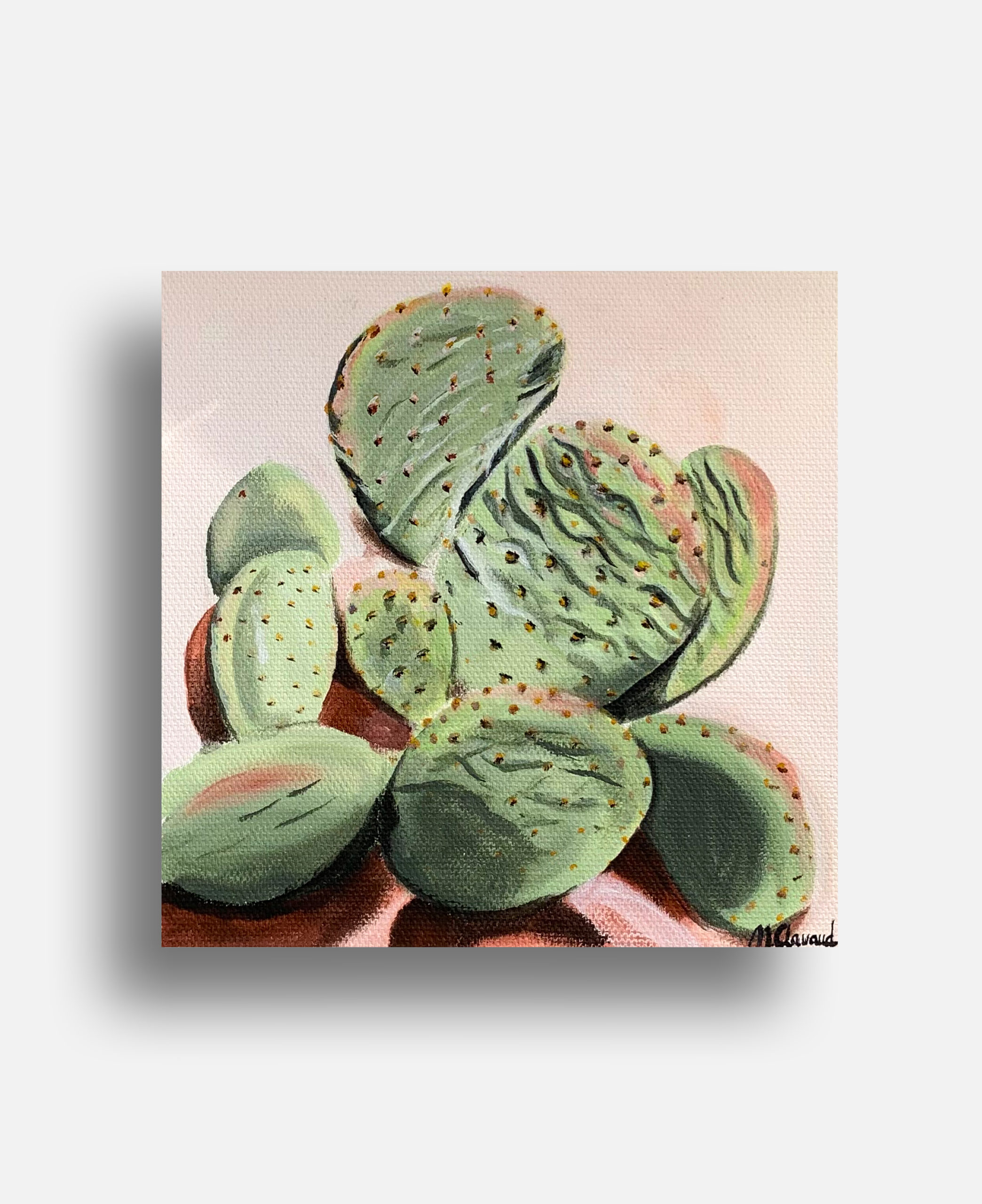 CACTUS